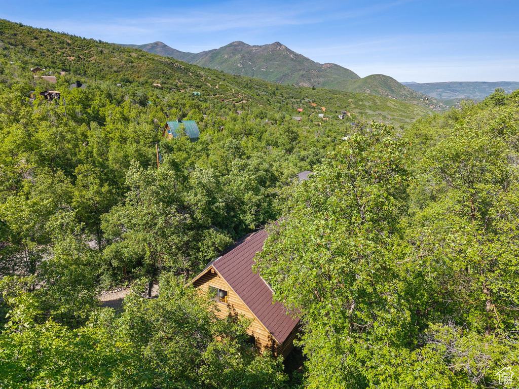 View from above of property with a heavily wooded area and a mountainous background