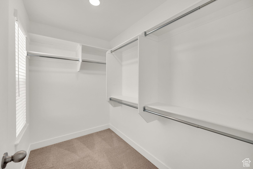 Spacious closet with carpet