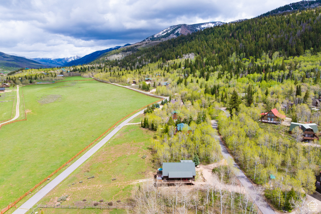 Aerial view of a mountainous background and a forest