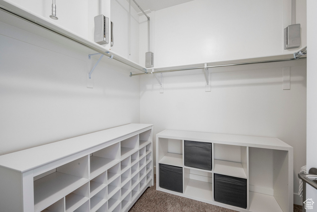 Walk in closet featuring carpet