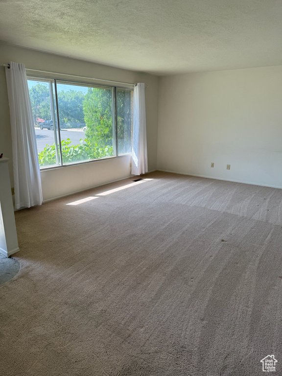 Empty room featuring carpet flooring and a textured ceiling
