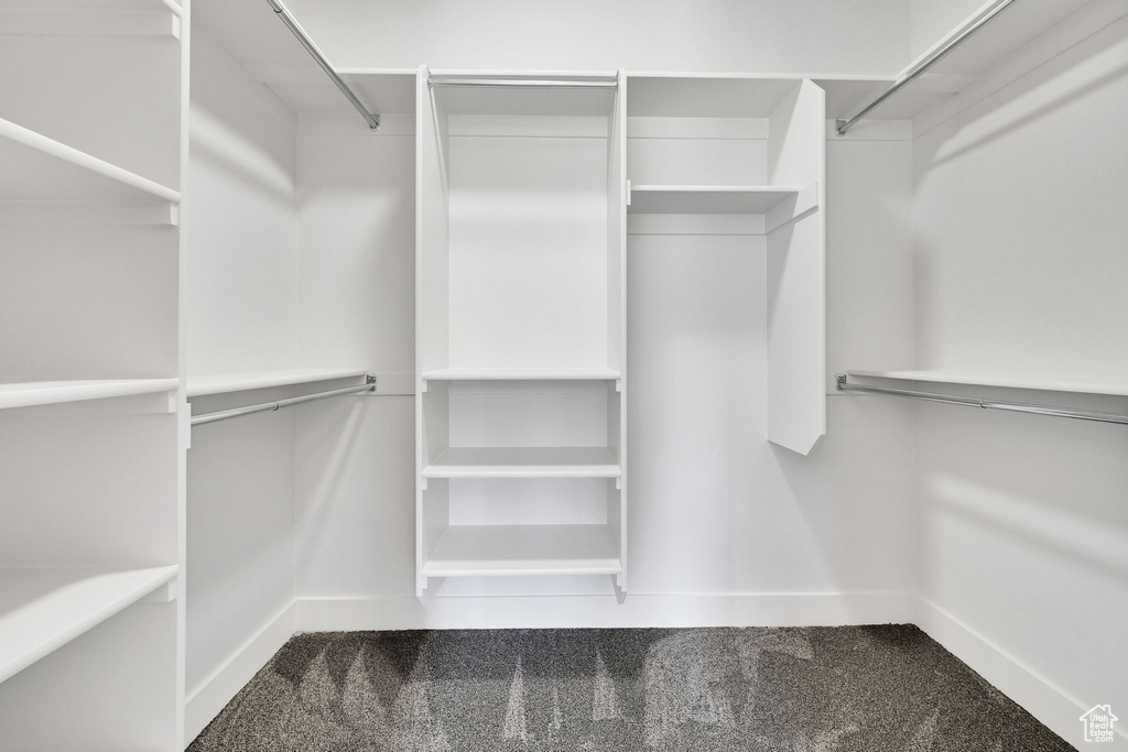 Walk in closet featuring carpet