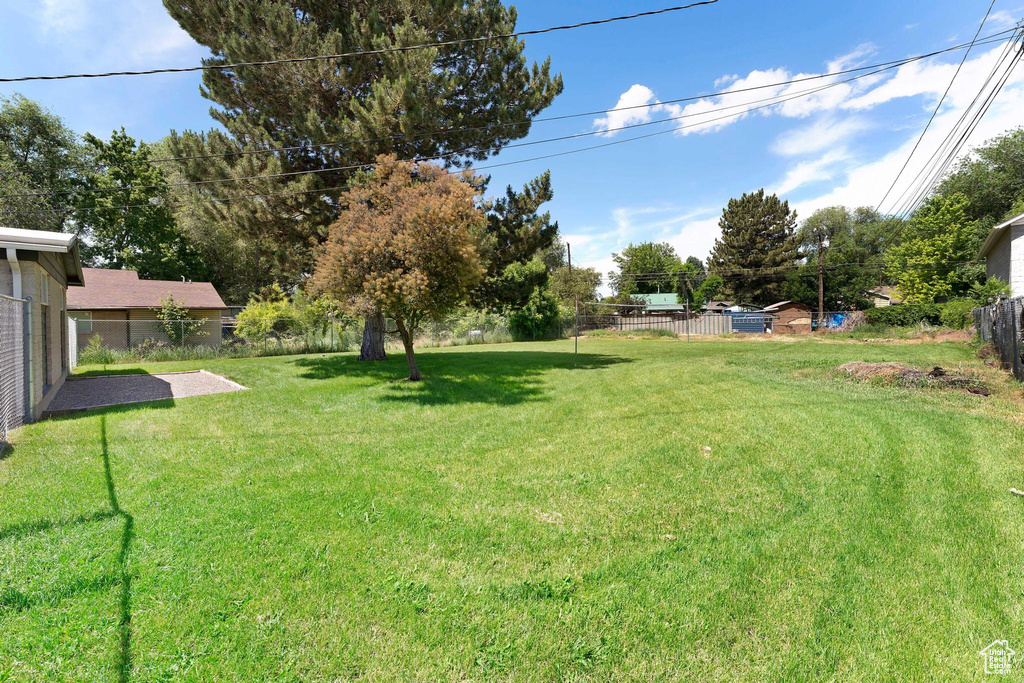 View of yard