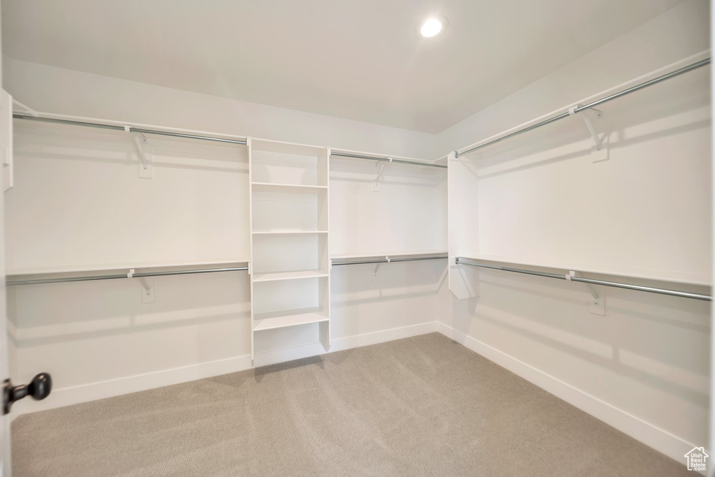 Spacious closet with carpet flooring