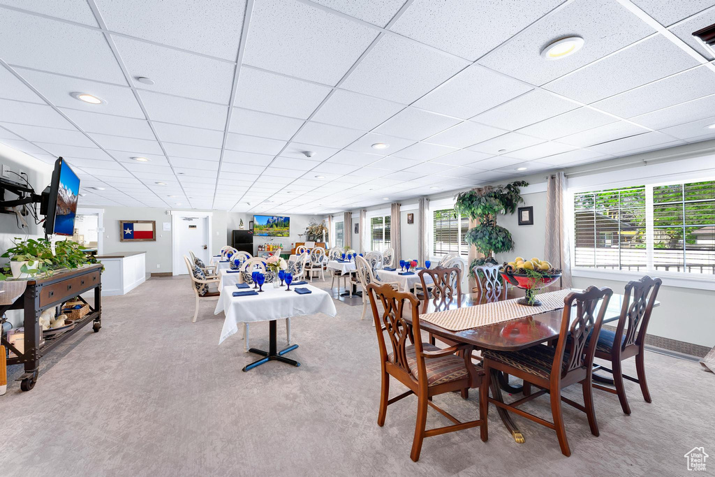Dining space featuring healthy amount of natural light, a drop ceiling, baseboards, light carpet, and recessed lighting
