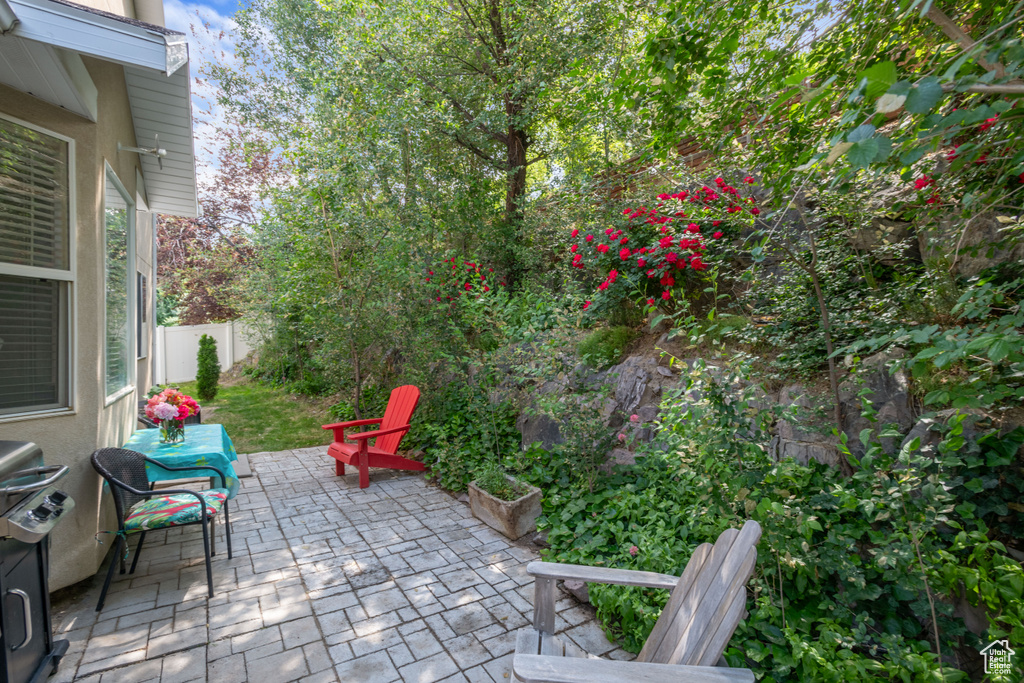 Fenced backyard with a patio area and grilling area