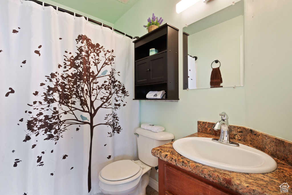 Bathroom featuring vanity, toilet, and a shower with curtain