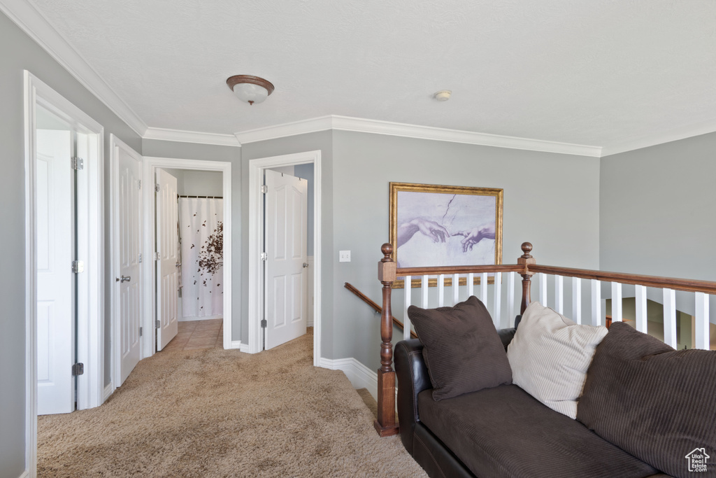 Living room with carpet flooring, ornamental molding, and baseboards