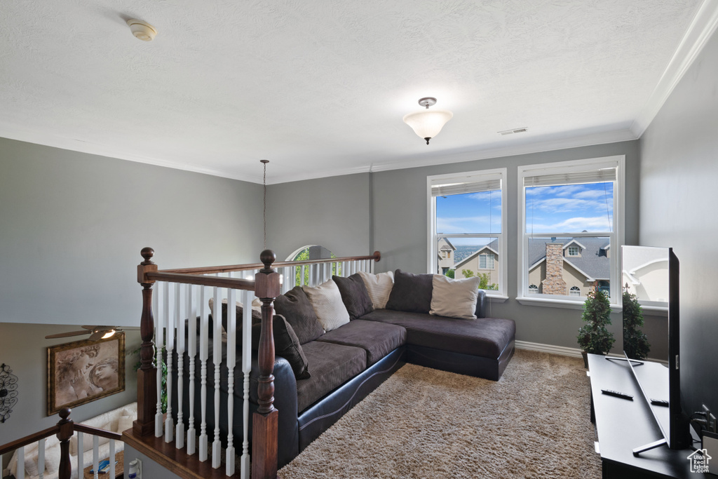 Living area with carpet flooring, crown molding, baseboards, and a textured ceiling