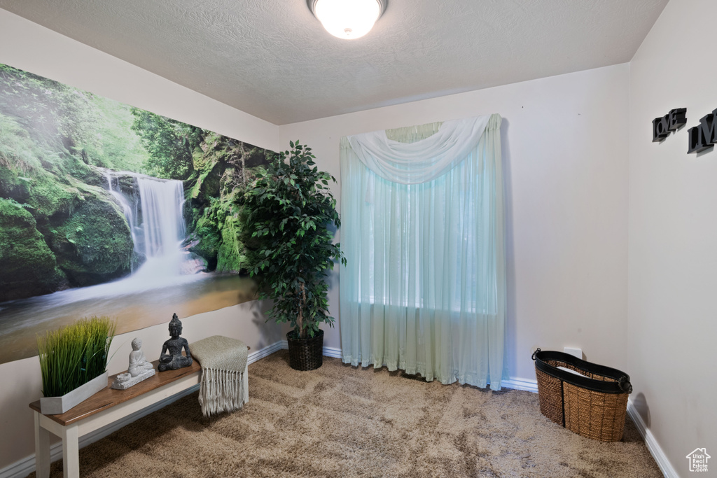 Empty room with carpet, baseboards, a textured ceiling, and plenty of natural light