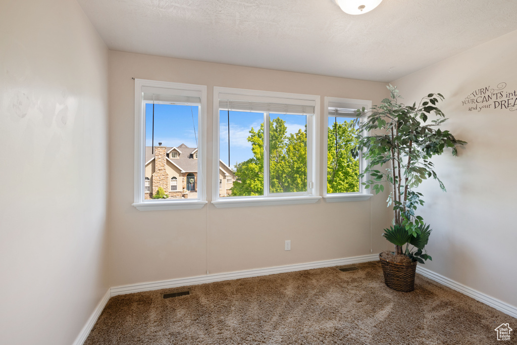 Empty room with carpet, plenty of natural light, and baseboards