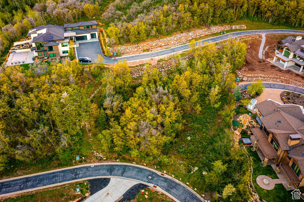 Aerial overview of property's location with a forest