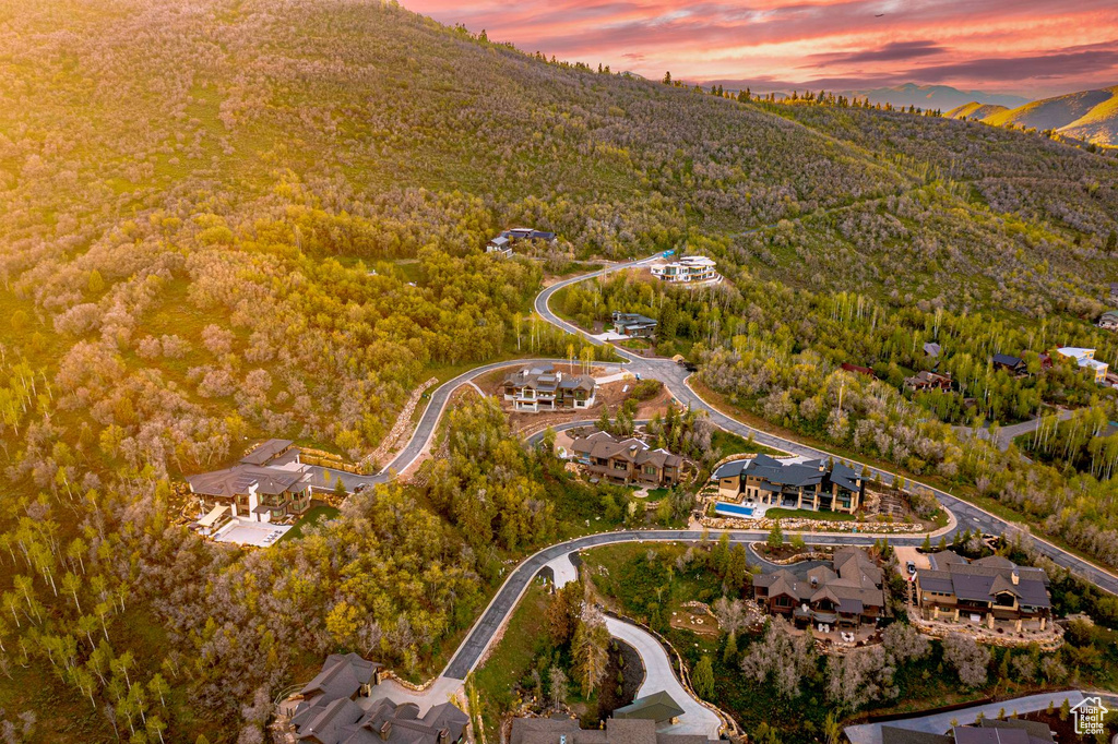 Aerial view at dusk of a forest view and a mountain view