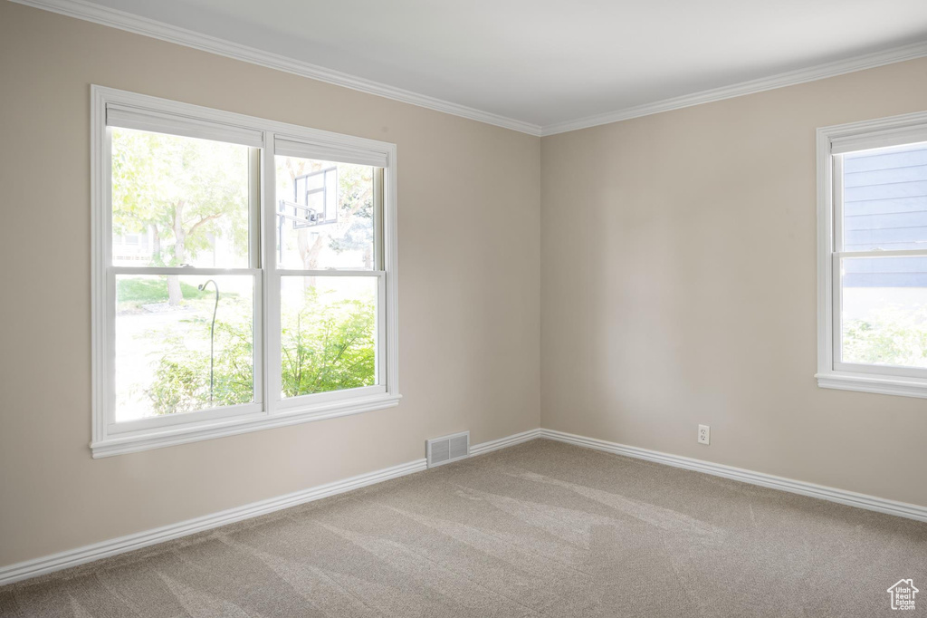 Carpeted empty room featuring baseboards and crown molding