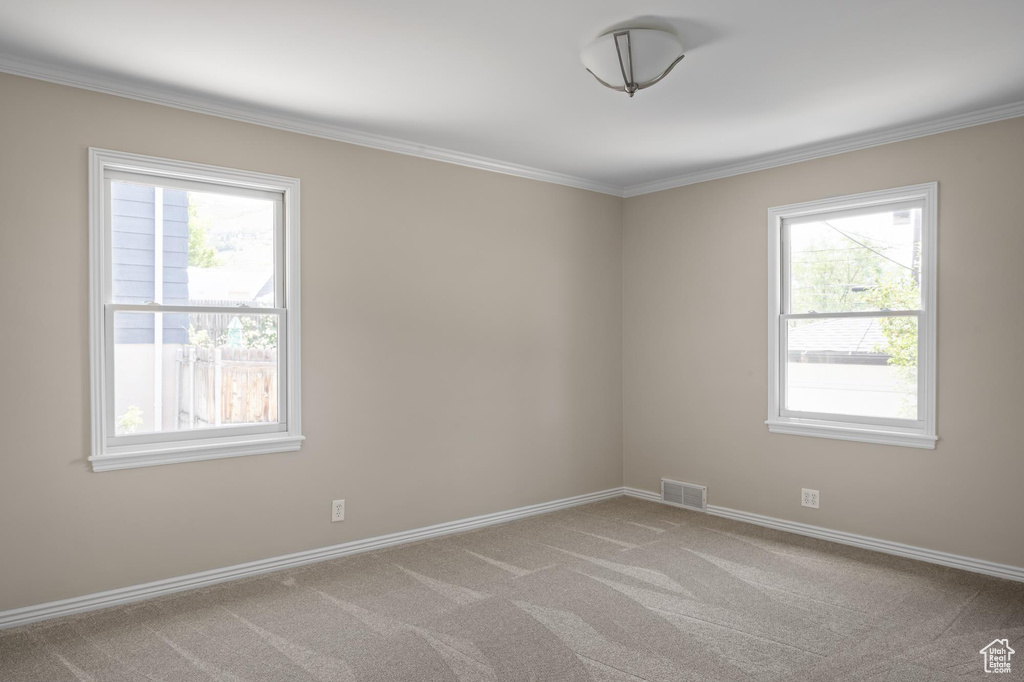Carpeted empty room with healthy amount of natural light, crown molding, and baseboards