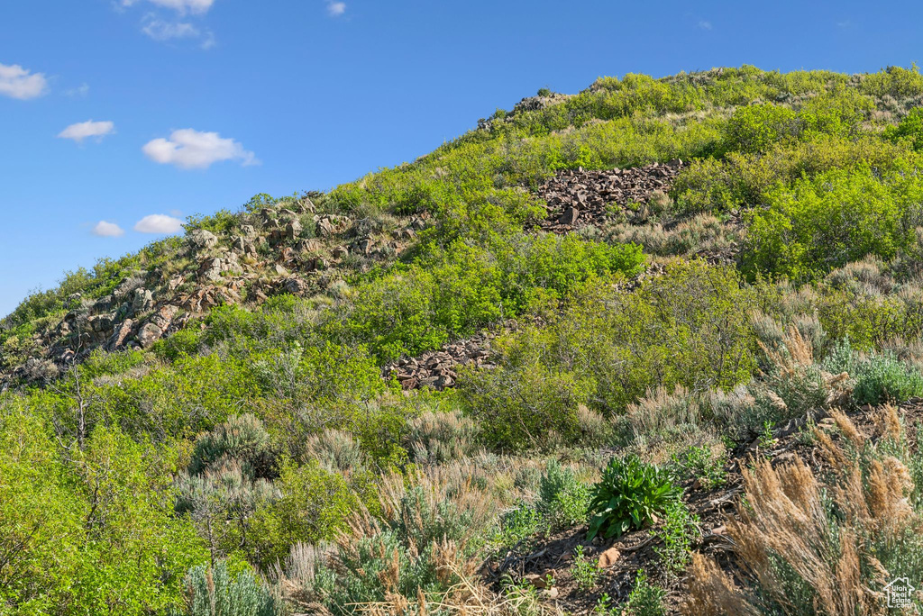 View of mountain background