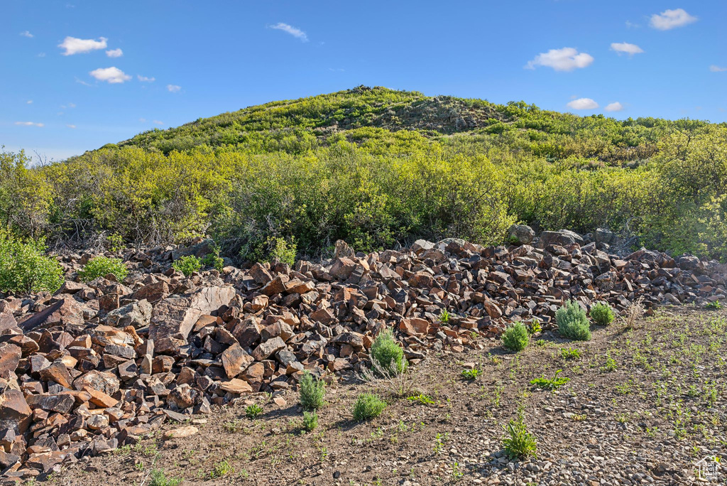 Mountain view with a heavily wooded area