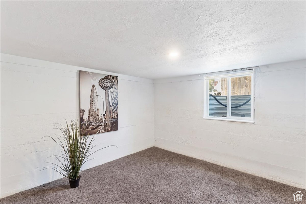 Below grade area with carpet and a textured ceiling
