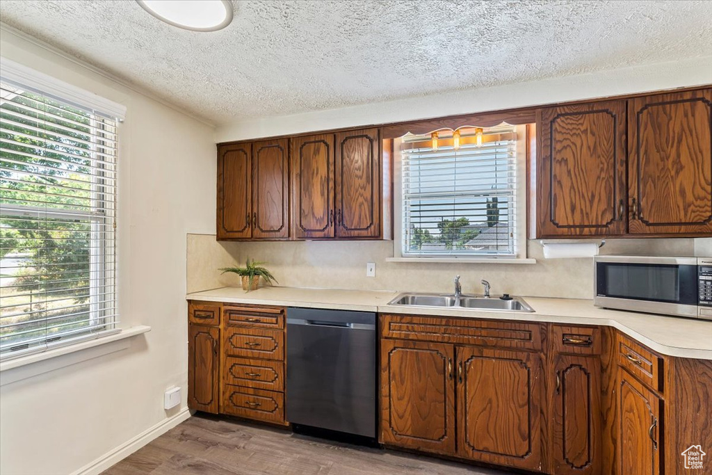 Kitchen featuring stainless steel appliances, a sink, healthy amount of natural light, light wood-style flooring, and a textured ceiling