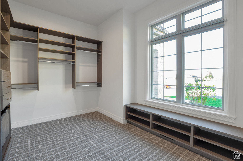 Spacious closet with carpet flooring