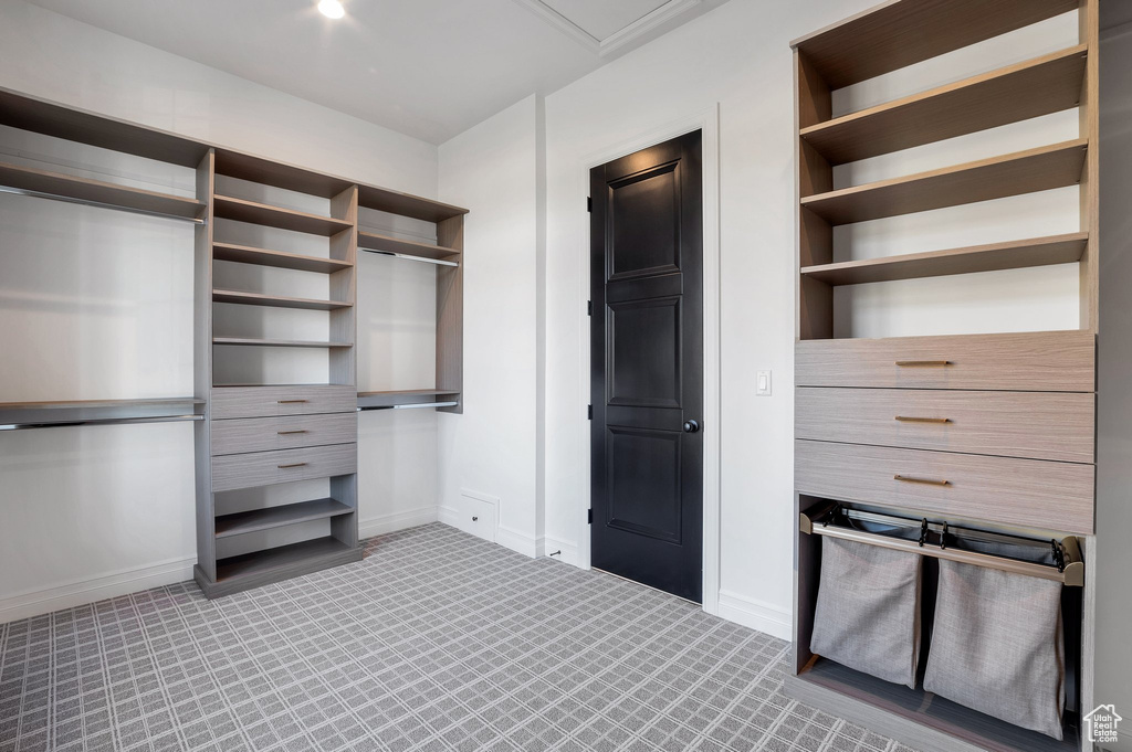 Spacious closet featuring carpet floors