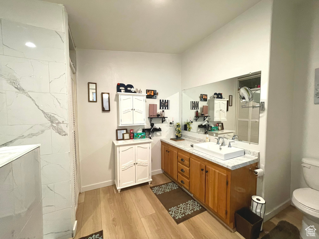 Bathroom with wood finished floors, vanity, and toilet