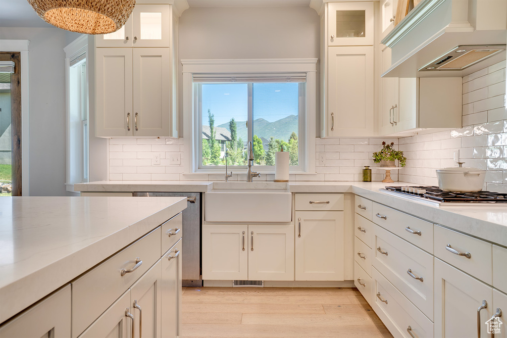 Kitchen with premium range hood, a sink, appliances with stainless steel finishes, light wood-style floors, and decorative backsplash