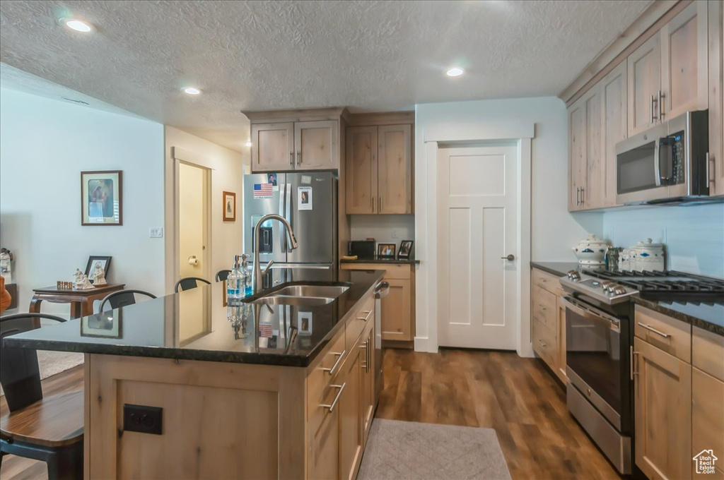 Kitchen with appliances with stainless steel finishes, a sink, dark wood finished floors, a kitchen breakfast bar, and recessed lighting