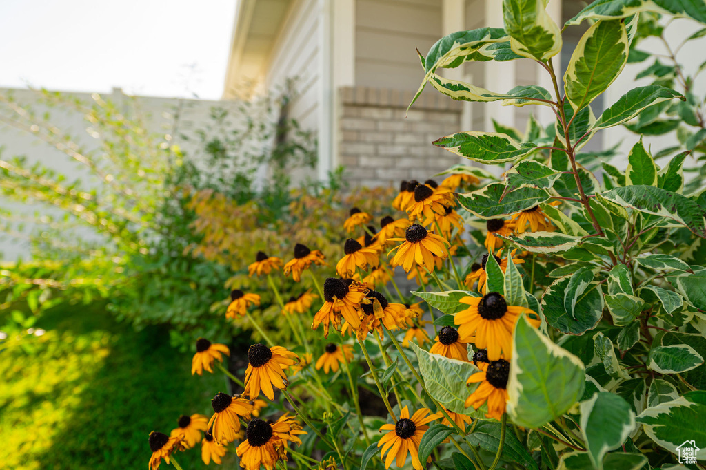 Photo 5 for MLS #2089532 at 1123 S 4150 West