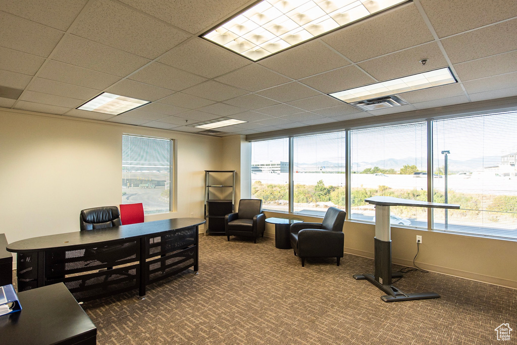 Office area with carpet flooring, plenty of natural light, a drop ceiling, and baseboards