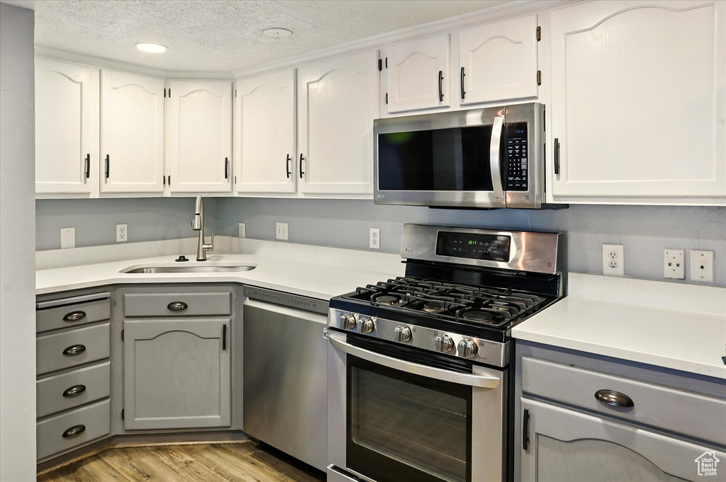 Kitchen featuring stainless steel appliances, gray cabinetry, a sink, light wood-type flooring, and light countertops