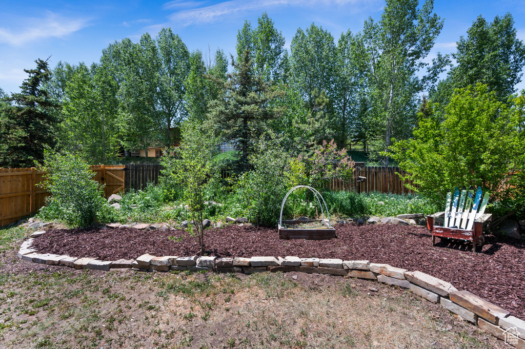 Fenced backyard with a garden