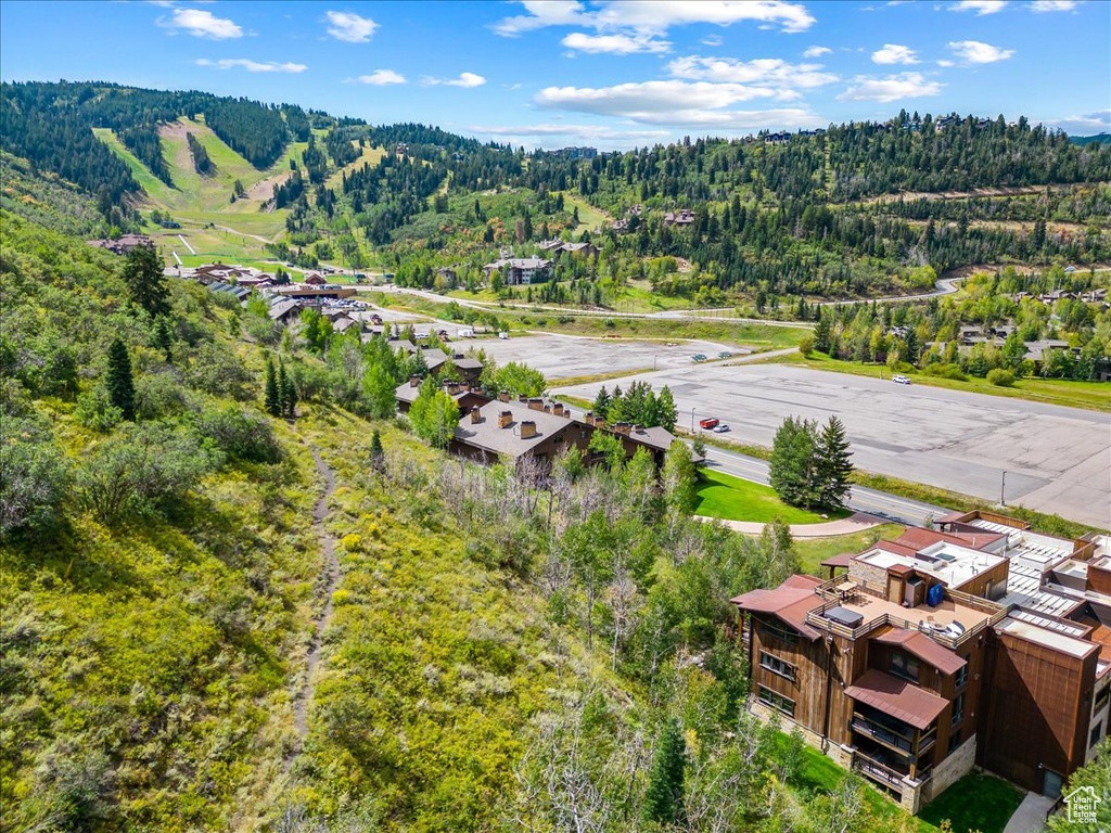 Aerial perspective of suburban area featuring a forest
