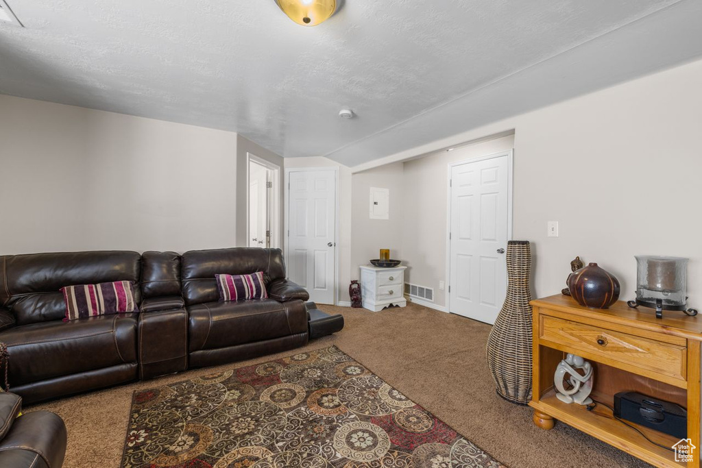 Carpeted living room featuring a textured ceiling, baseboards, and visible vents