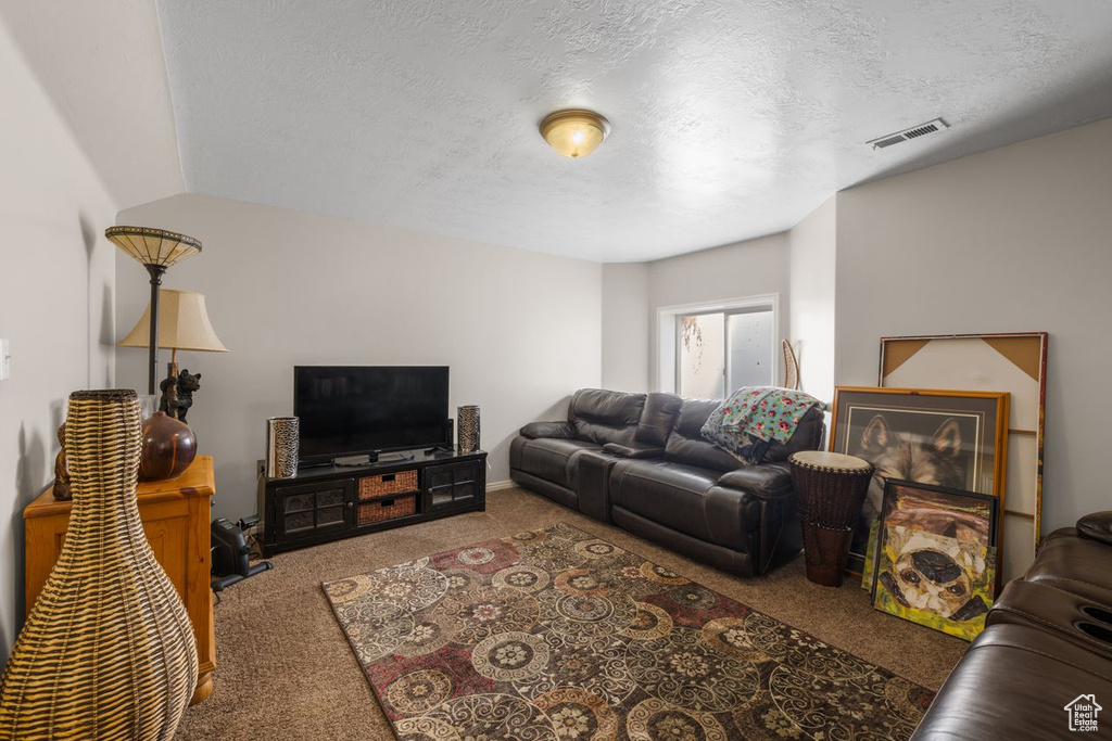 Carpeted living room with visible vents and a textured ceiling