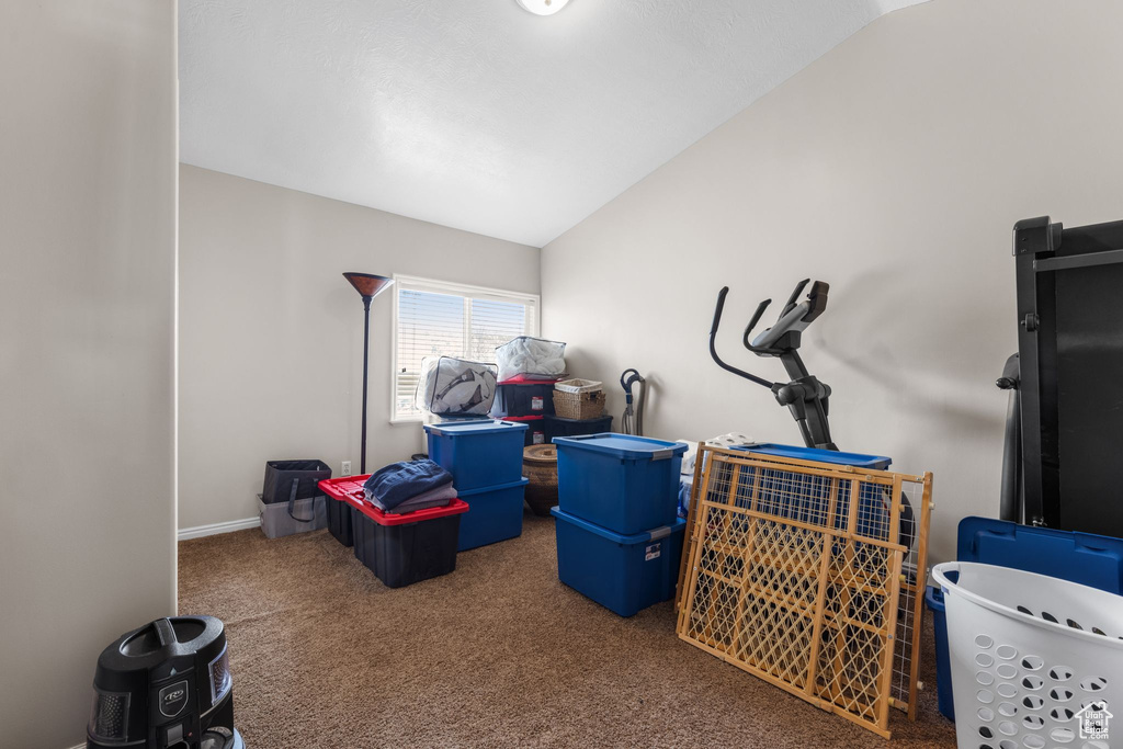 Interior space featuring carpet flooring and lofted ceiling