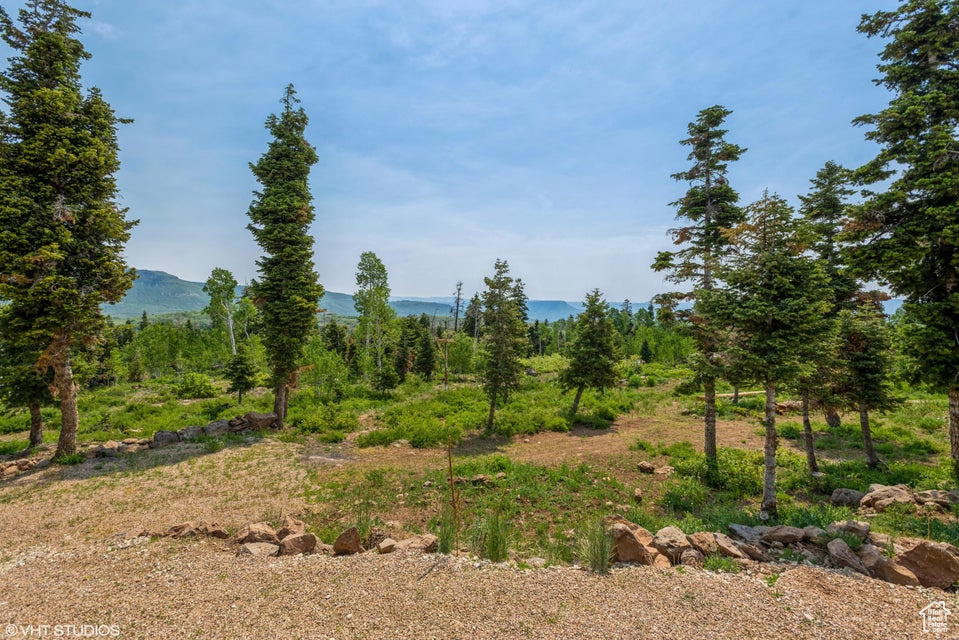 View of undeveloped land with a mountainous background