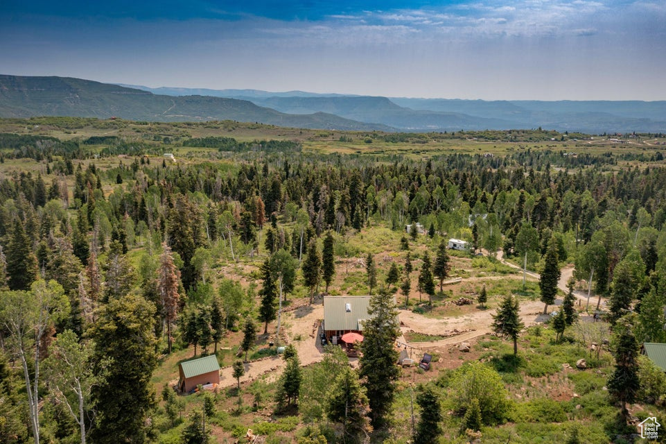 Drone / aerial view of a heavily wooded area and a mountain backdrop