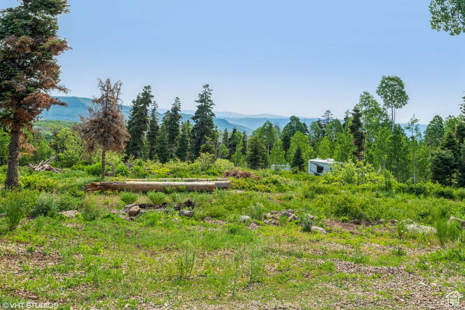 View of yard featuring a mountain view