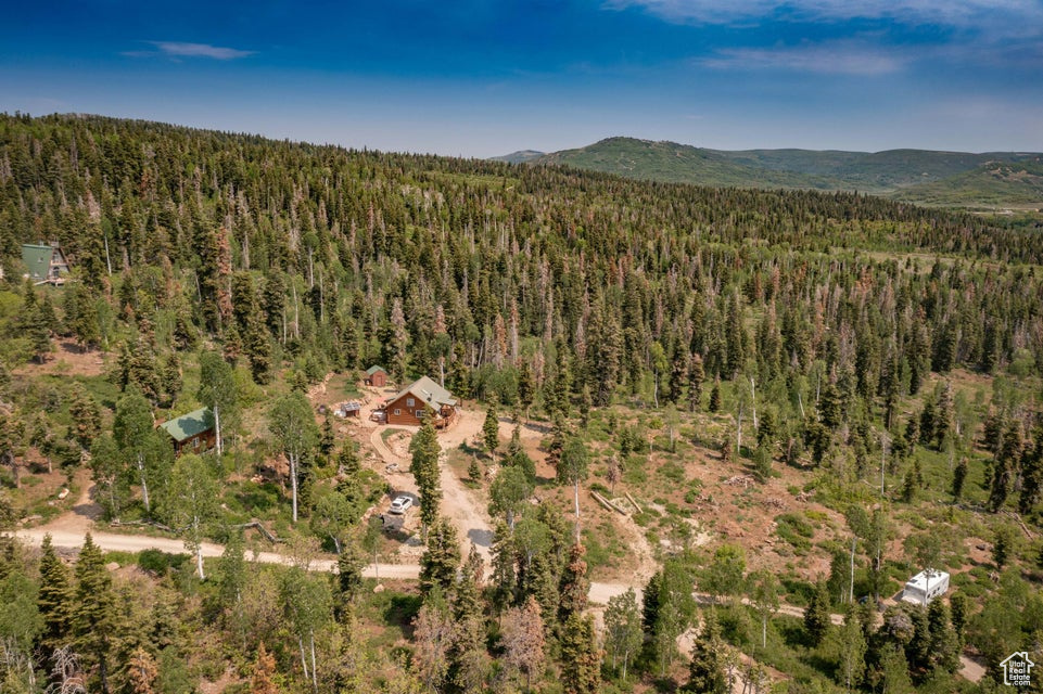 Aerial view of property and surrounding area featuring a heavily wooded area and a mountainous background