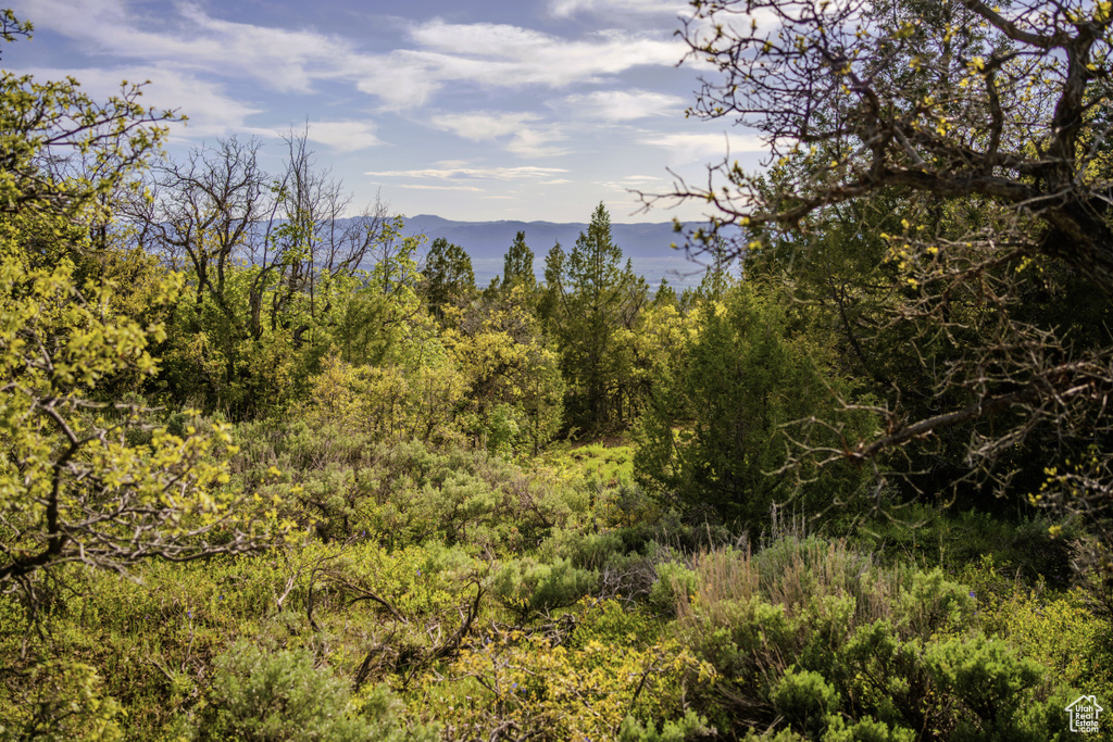 View of woods featuring a mountain view
