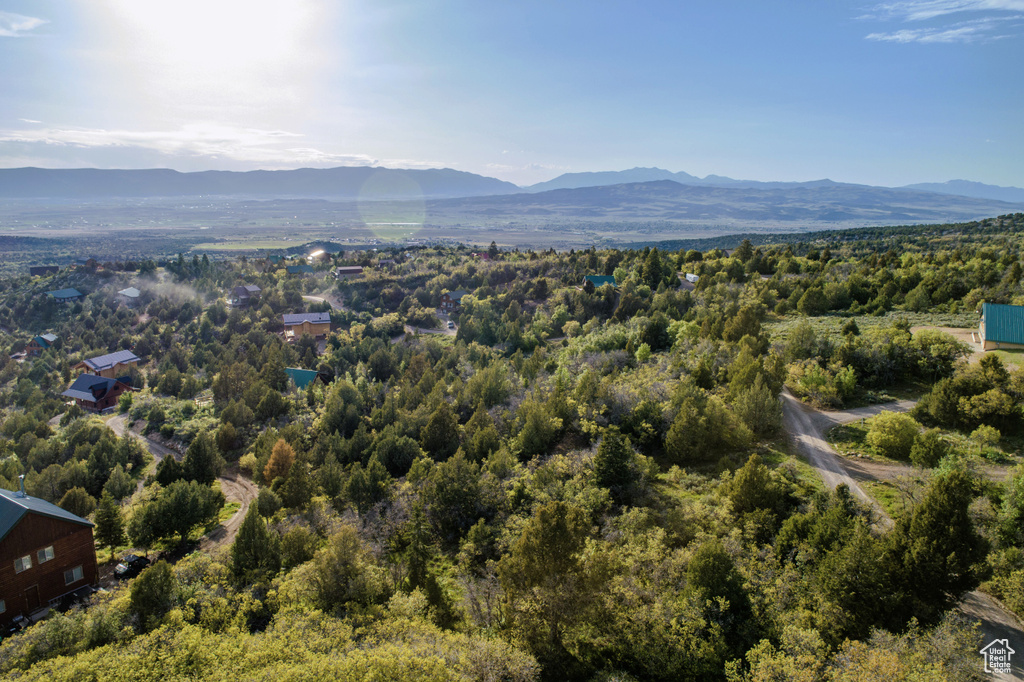 View of mountain background featuring a heavily wooded area