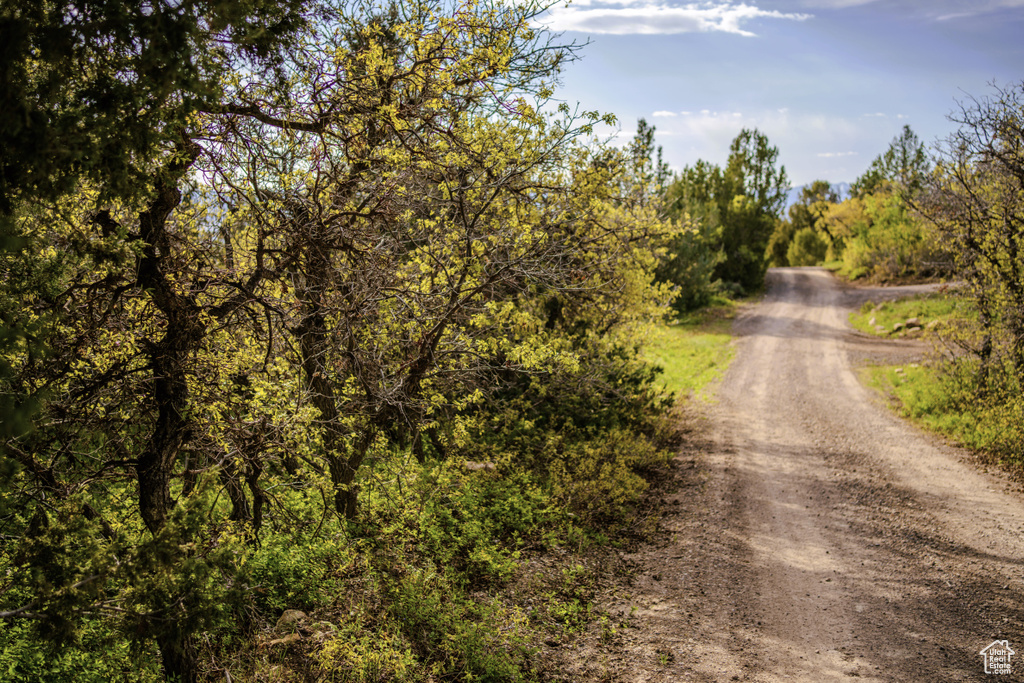 View of dirt / gravel road featuring a view of trees