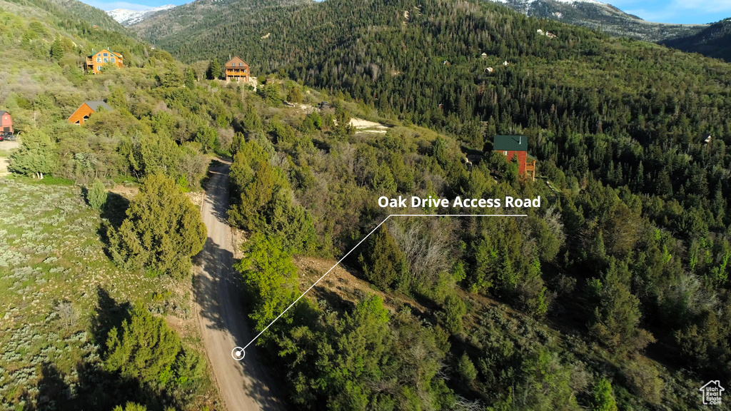 Bird's eye view of a heavily wooded area and a mountain backdrop