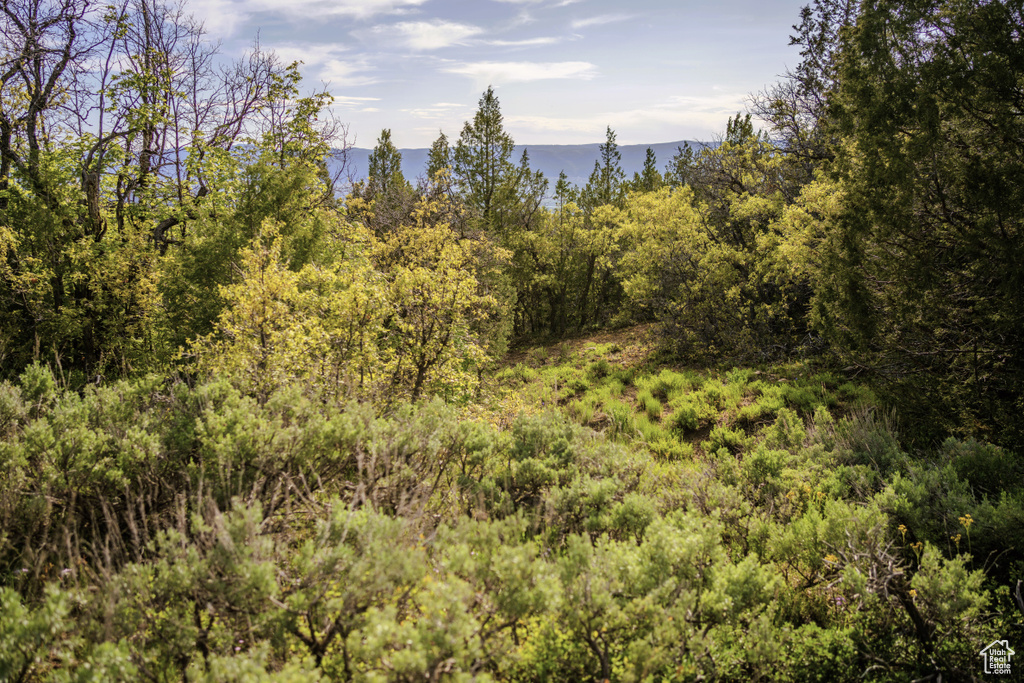 View of woods featuring a mountain view