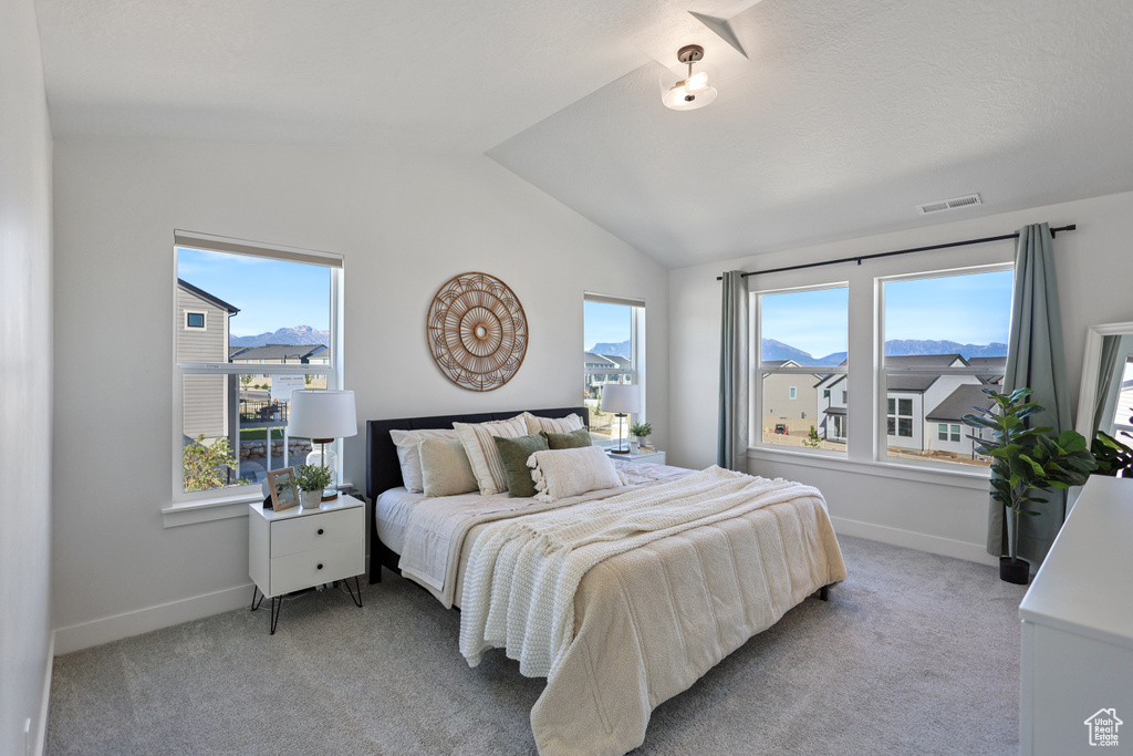 Bedroom featuring lofted ceiling, light carpet, and baseboards