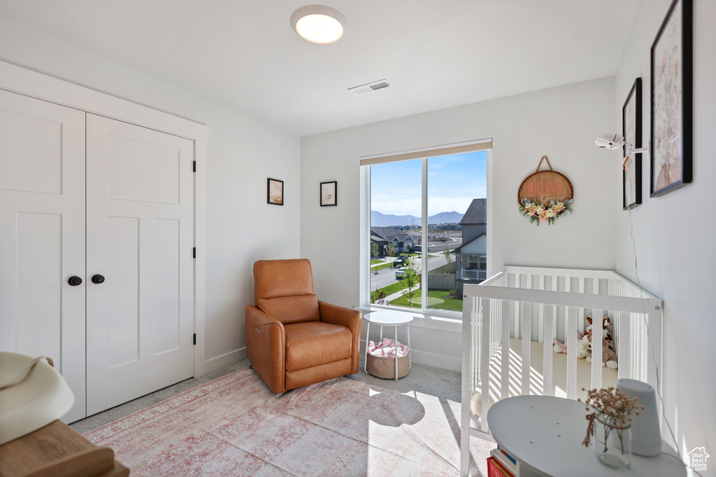 Carpeted bedroom featuring baseboards, a mountain view, a nursery area, and a closet