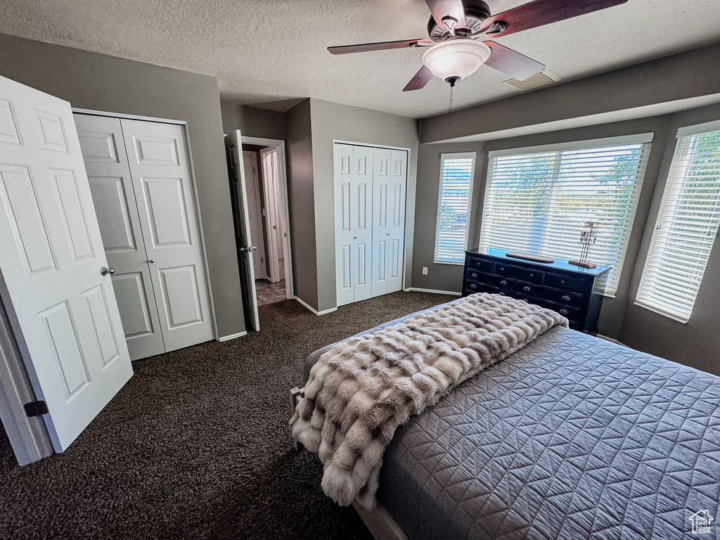 Bedroom with multiple closets, carpet flooring, multiple windows, baseboards, and a textured ceiling