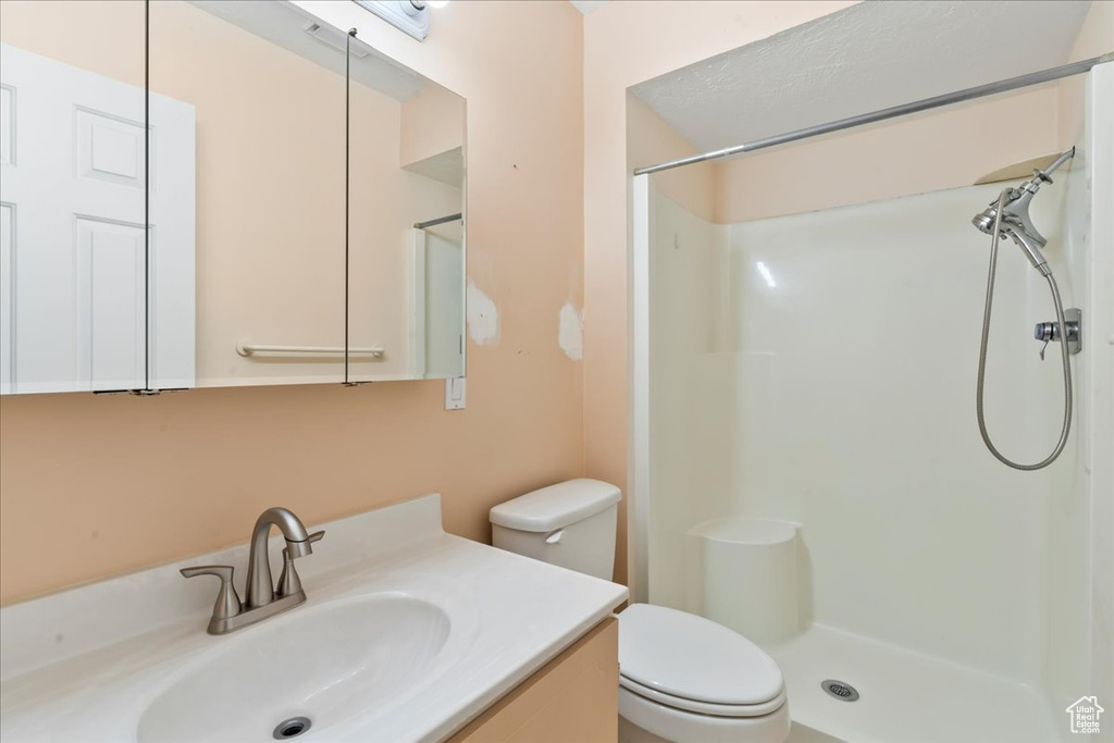 Full bathroom with toilet, vanity, and a shower