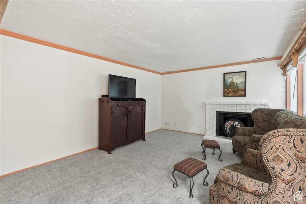 Living room featuring crown molding, carpet flooring, baseboards, a fireplace, and a textured ceiling